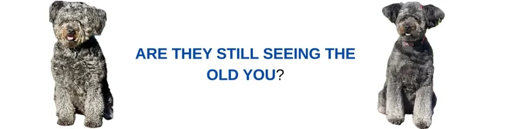A partial text in blue on white background, reading 'EY STILL SEEING OLD YOU?'.